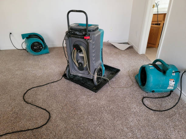 Best Water damage restoration process  in Hahira, GA