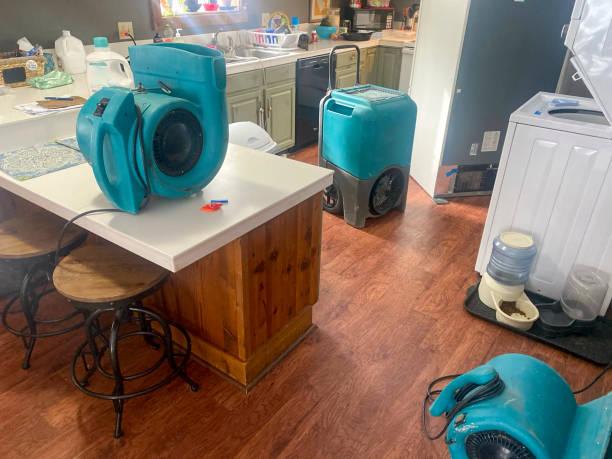 Best Flooded house restoration  in Hahira, GA