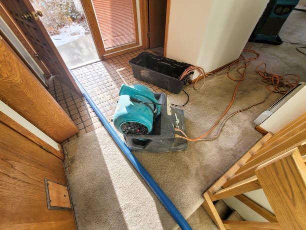 Best Water damage repair service  in Hahira, GA