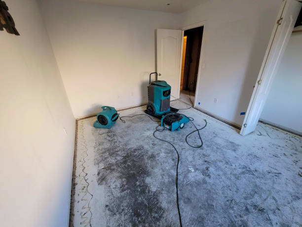 Best Local water damage restoration  in Hahira, GA