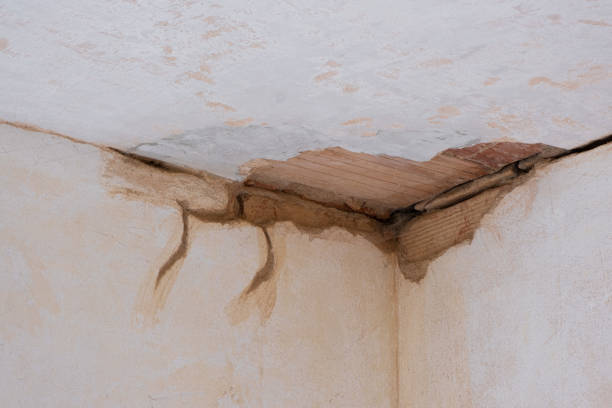 Best Mold removal after water damage  in Hahira, GA