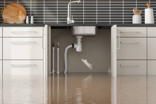 Best Water damage restoration near me  in Hahira, GA