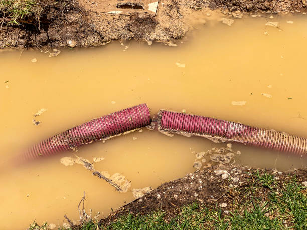 Best Residential water damage restoration  in Hahira, GA