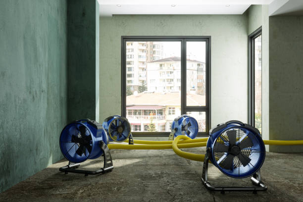 Best Water damage restoration mold remediation  in Hahira, GA